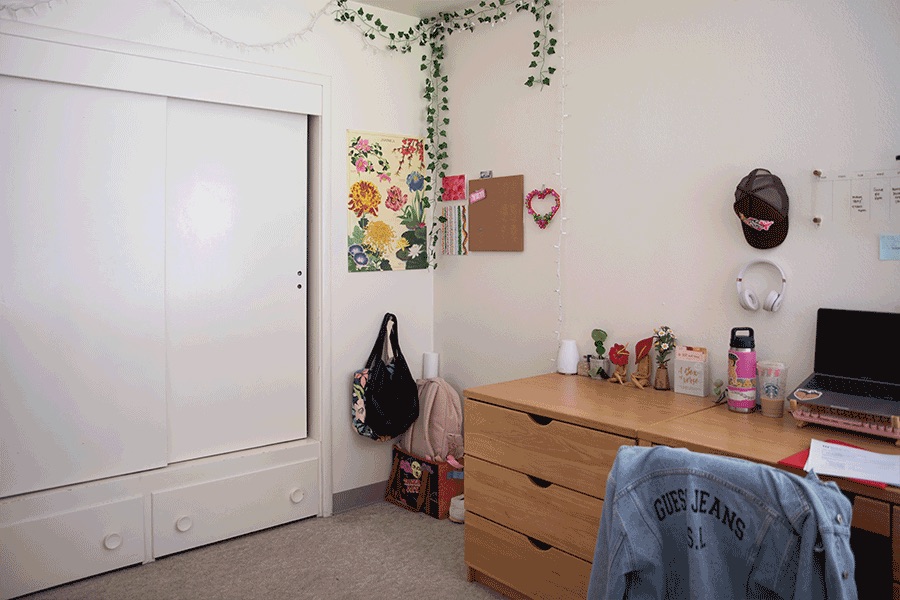 A tidy bedroom corner, showing a built-in closet with sliding doors and drawers, a desk, and green foliage decor.